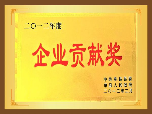 企業(yè)貢獻(xiàn)獎
